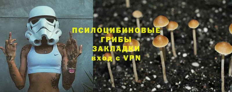 Псилоцибиновые грибы MAGIC MUSHROOMS  Ивдель 